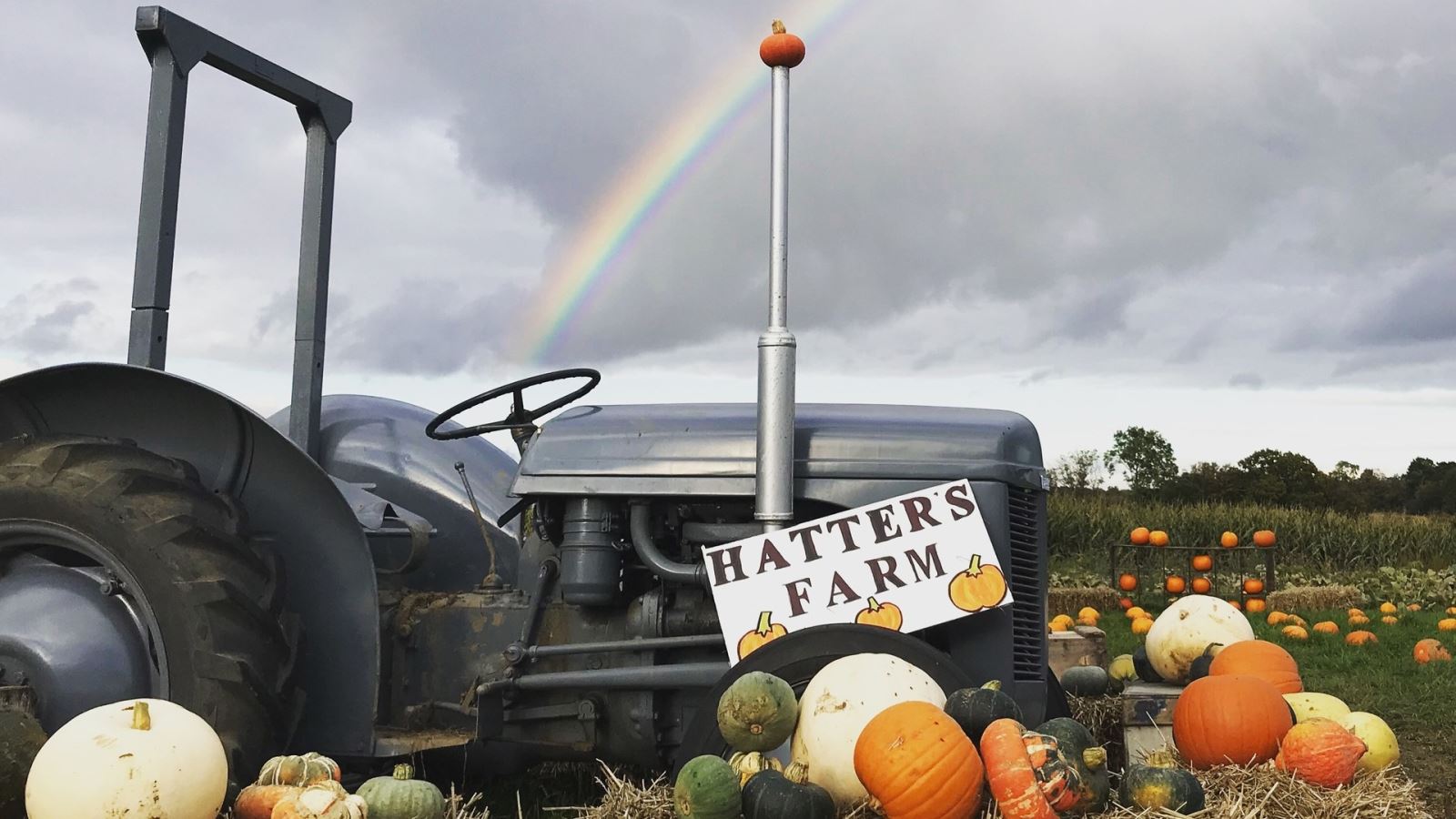 Hatters Farm Pumpkin Patch